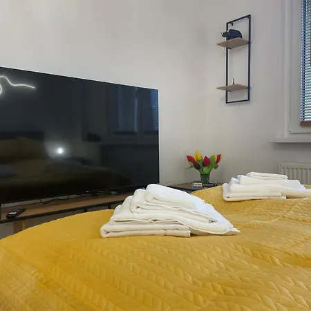 Business Class Silesia Center Apartment