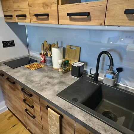 Silesia Blue2 Luxury - Self Check-in Apartmán Katovice